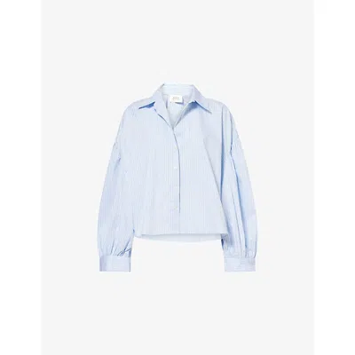 Dissh Womens Blue Stripe Bernice Pinstripe Cotton-blend Shirt