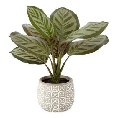 Distant Lands 14" Prayer Artificial Plant In Green