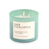 Distant Lands 14oz Sage Eucalyptus 3-wick Scented Jar Candle In Green
