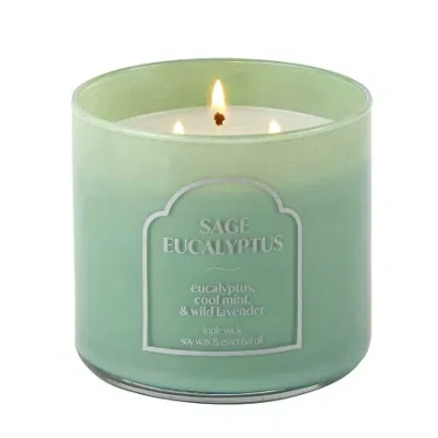 Distant Lands 14oz Sage Eucalyptus 3-wick Scented Jar Candle In Green