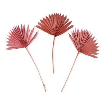 Distant Lands 19" Preserved Fan Palm 3-pc. Vase Filler In Green