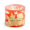 Distant Lands Amber And Apricot 3-wick Scented Jar Candle