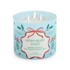 Distant Lands Merry Berry Cheer 3-wick Scented Jar Candle