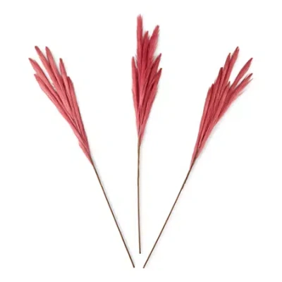 Distant Lands Pink Faux Pampas 3-pc. Vase Filler