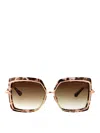 Dita Narcissus Sunglasses In Brown