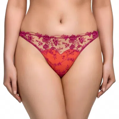 Dita Von Teese Victresse Floral Embroidery Thong In Rubine In Red