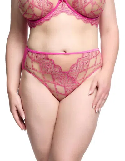 Dita Von Teese Yvonne Hi Cut Brief In Rubine In Pink