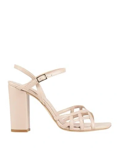 Divine Follie Woman Sandals Blush Size 8 Leather In Brown