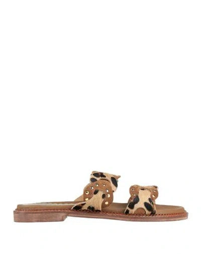 Divine Follie Woman Sandals Brown Size 8 Leather