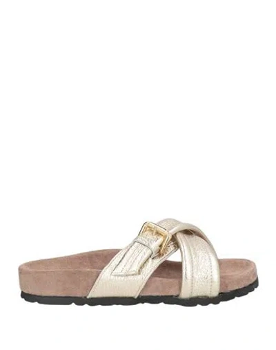 Divine Follie Woman Sandals Platinum Size 8 Leather In Grey