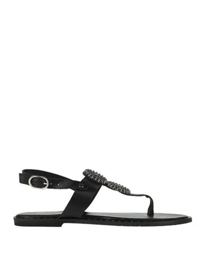Divine Follie Woman Thong Sandal Black Size 7 Leather
