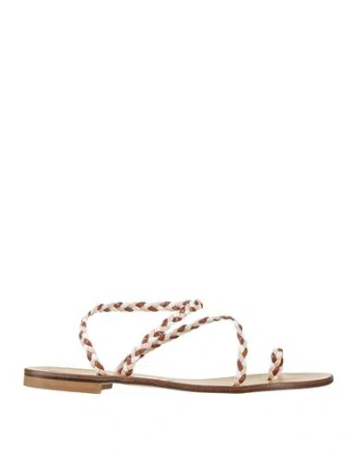 Divine Follie Woman Thong Sandal Brown Size 8 Leather