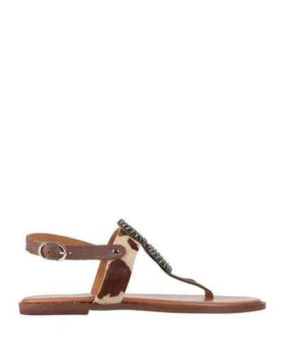 Divine Follie Woman Thong Sandal Dark Brown Size 8 Leather