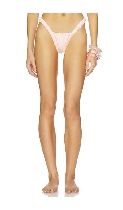 Divino Seas Ada Bikini Bottom In Pink