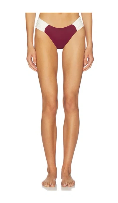 Divino Seas Eclat Bikini Bottom In Burgundy