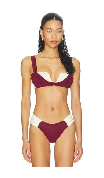 Divino Seas Eclat Bikini Top In Burgundy