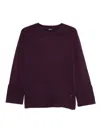 Dixie Crew-neck Sweater In Red