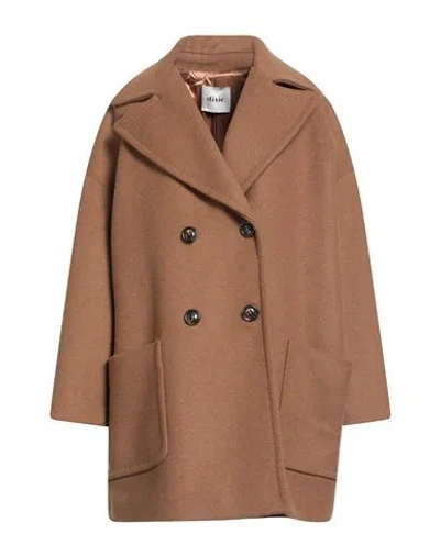 Dixie Woman Coat Camel Size L Wool, Polyester, Polyamide In Brown