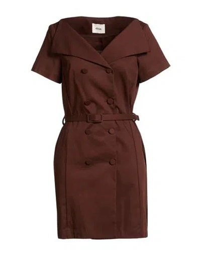 Dixie Woman Mini Dress Chocolate Brown Size M Cotton, Elastane