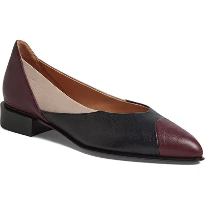 Django & Juliette Django And Juliette Emberta Pointed Toe Flat In Multi