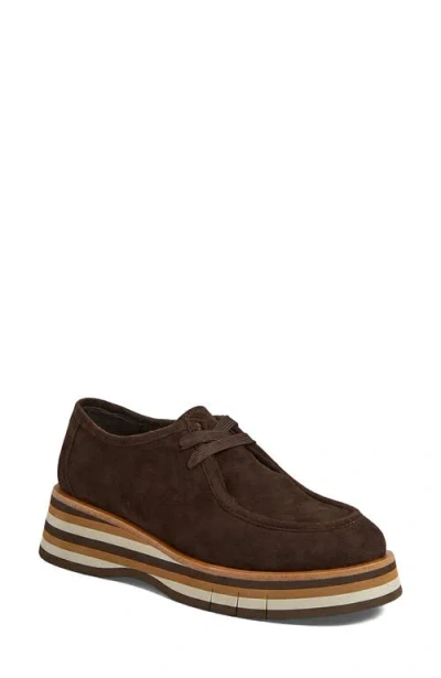 Django & Juliette Django And Juliette Gnota Lace In Brown