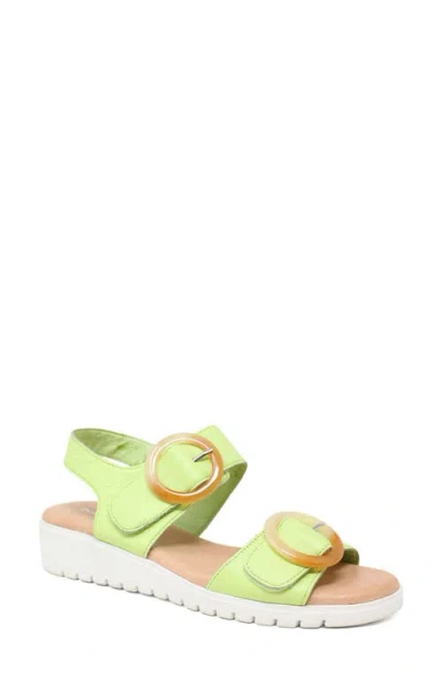 Django & Juliette Django And Juliette Meldrick Low Wedge Sandal In Green