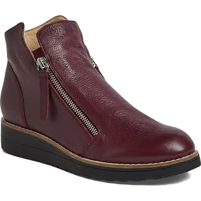 Django & Juliette Django And Juliette Ohmy Double Zip Boot In Burgundy