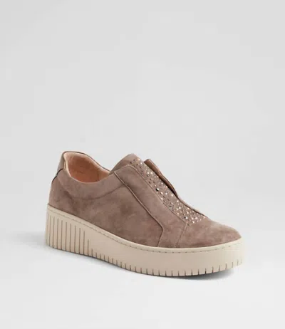 Django & Juliette Women's Kangie Leather Sneakers In Taupe-bronze In Brown