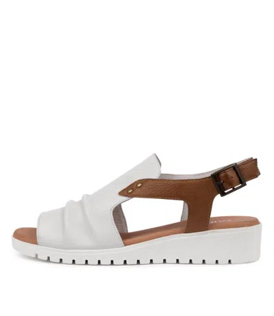 Django & Juliette Women's Madis Sandal In White/ Dark Tan Leather In Multi