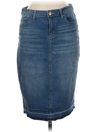 Pre-owned D.jeans Denim Skirt In Blue