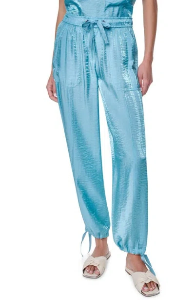 Dkny Ankle Tie Pants In Blue