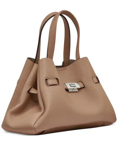 Dkny Bryar Small Satchel In Brown