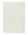 Dkny Central Park West Cep02 Area Rug, 3'9 X 5'9 In Neutral
