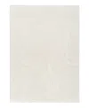 Dkny Central Park West Cep02 Area Rug, 5'2 X 7'2 In Neutral