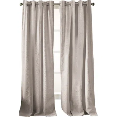 Dkny Chrysanthemum Floral Grommet Curtains In Taupe