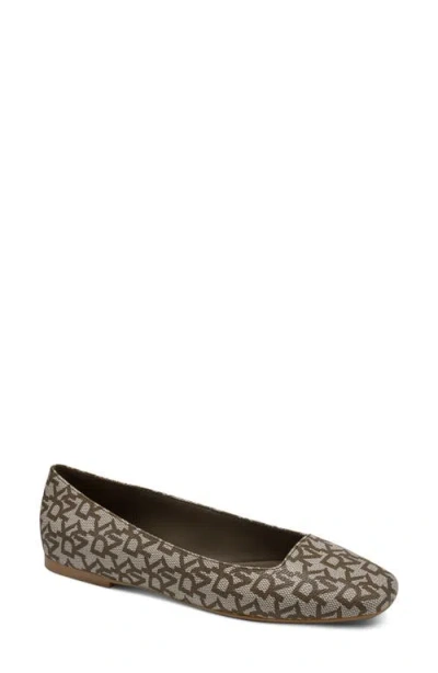 Dkny Darianne Ballet Flat In Brown