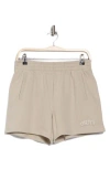 Dkny Embroidered Logo Fleece Shorts In Pebble