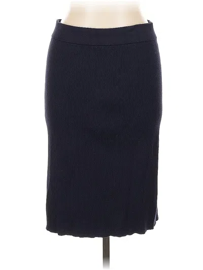 Pre-owned Dkny Formal Skirt In Blue