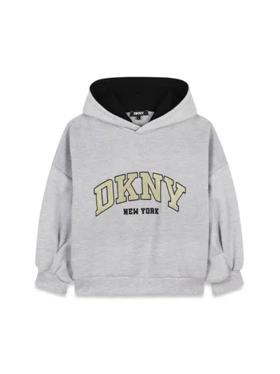 Dkny Hoodie In Gray
