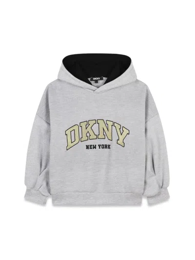 Dkny Hoodie In Gray