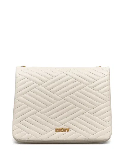 Dkny Leather Cross Body Bag In 中性色