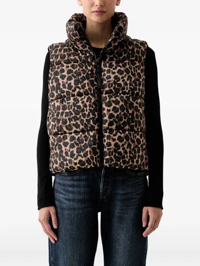 Dkny Leopard-print Padded Gilet In Animal Print