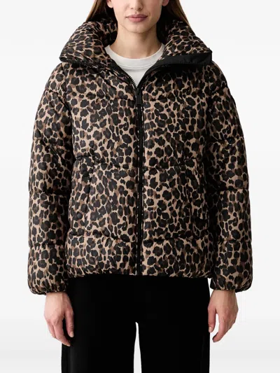 Dkny Leopard-print Puffer Jacket In Black