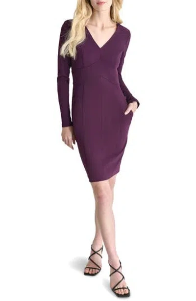 Dkny Long Sleeve Sheath Dress In Raisin