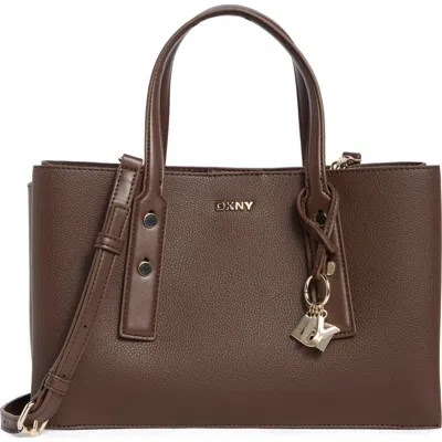 Dkny Marla Satchel Bag In Brown