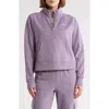 Dkny Mini Stud Logo Half Zip Sweatshirt In Purple