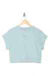 Dkny Mini Stud Logo Raglan Pullover Top In Mineral