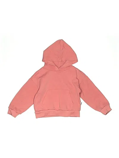 Pre-owned Dkny Kids' Pullover Hoodie In Pink