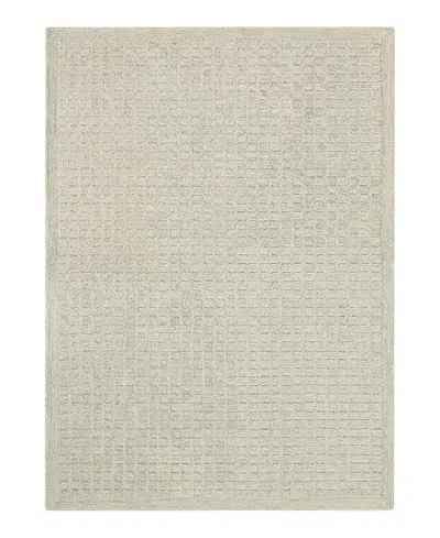 Dkny Pure Grids Pgr01 Area Rug, 3'7 X 5'7 In Neutral