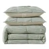 Dkny Pure Ruched Gauze Comforter & Shams Set In Green
